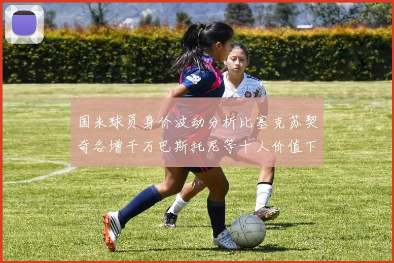 国米球员身价波动分析比塞克苏契奇各增千万巴斯托尼等十人价值下滑